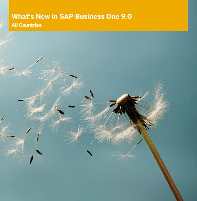SAP Business One v9.0 in the Philippines