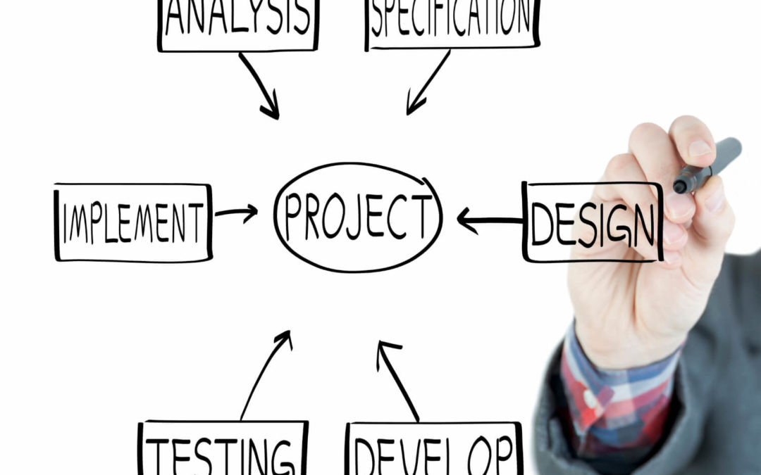 The Vitality of Custom Software Development in Business